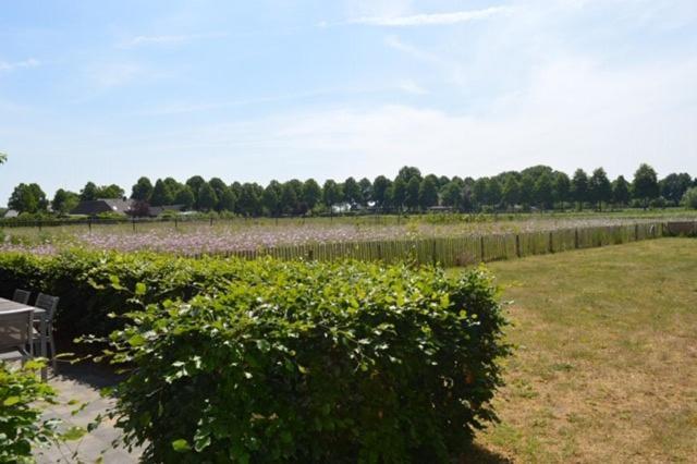 Residentie De Hoek Den Dungen Exterior photo