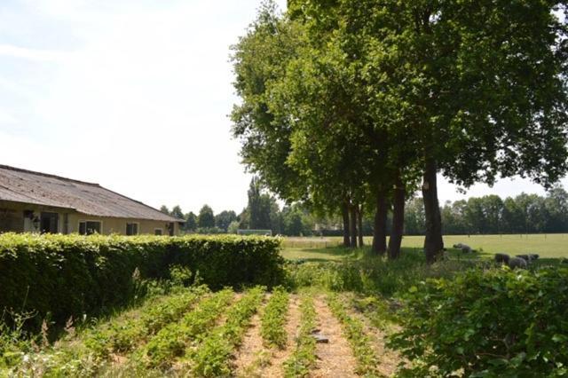 Residentie De Hoek Den Dungen Exterior photo